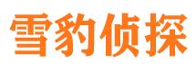 汝城市婚姻出轨调查